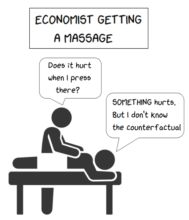 Economist getting a massage: the masseur asks “Does it hurt when I press there?” and the economist replies “SOMETHING hurts. But I don’t know the counterfactual.”